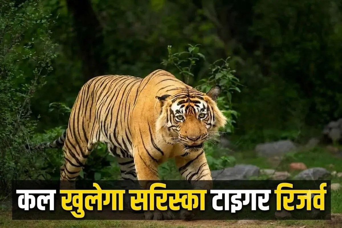 Sariska Tiger Reserve