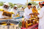 cm bhajanlal big decision bharatpur tonk built beekeeping excellence