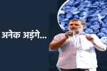 इंदौर में राहुल गांधी के कार्यक्रम में सांप का खतरा