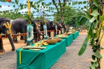 Satpura Tiger Reserve