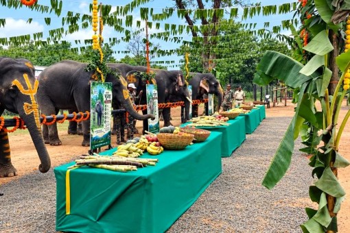 Satpura Tiger Reserve