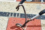 sawai madhopur house poisonous krait snake entered what to do if bitten