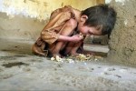 starvation