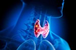 thyroid