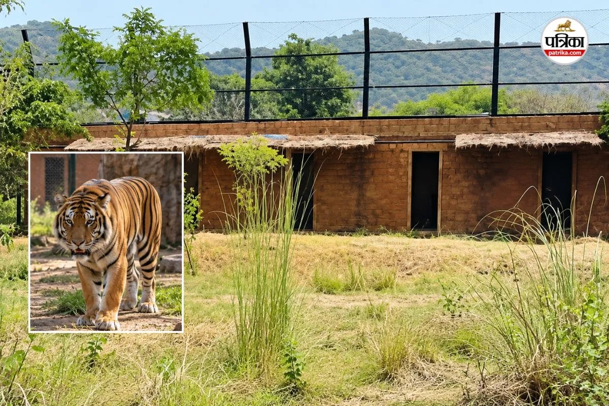 tiger shivaji attack case