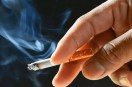 tobacco