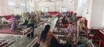 Dengue and malaria