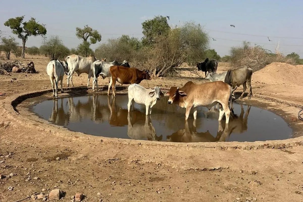 jaisalmer