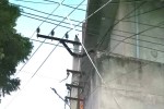 11kv power line