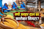 Arhar Daal