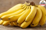Fresh yellow bananas highlighting health benefits and nutrition facts