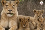 Barda Wildlife Sanctuary