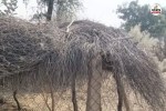Barmer Couple Death