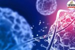 Cancer Diagnosis Next Steps, Mayo Clinic Cancer Advice,Cancer Staging American Cancer Society,