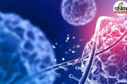 Cancer Diagnosis Next Steps, Mayo Clinic Cancer Advice,Cancer Staging American Cancer Society,