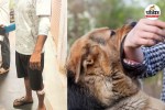 Dog Bite Case