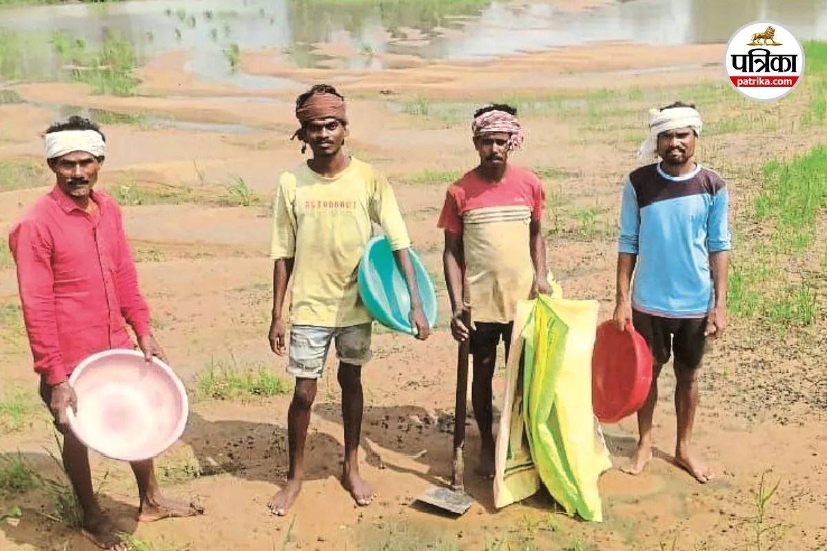 Paddy Procurement