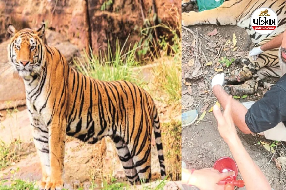 Indravati Tiger Reserve