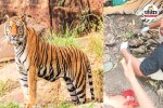 Indravati Tiger Reserve