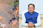 CM Vishnu Deo Sai