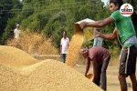 Dhan Kharidi New Guidelines