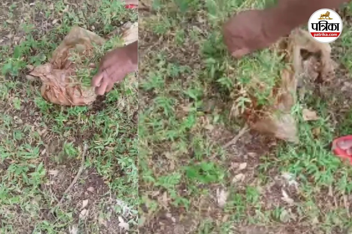 Human Head Found