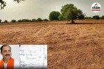Govt Land Fraud