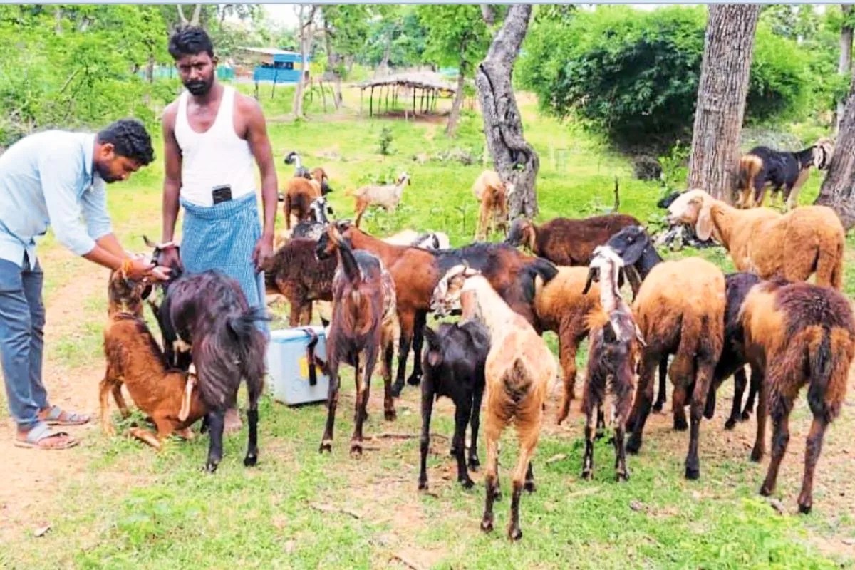 Chhattisgarh News