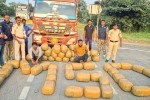 Odisha Ganja Smuggling