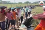 Rural Development
