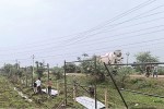 Chhattisgarh News
