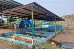 Compressed Biogas Plant