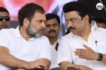 DMK news