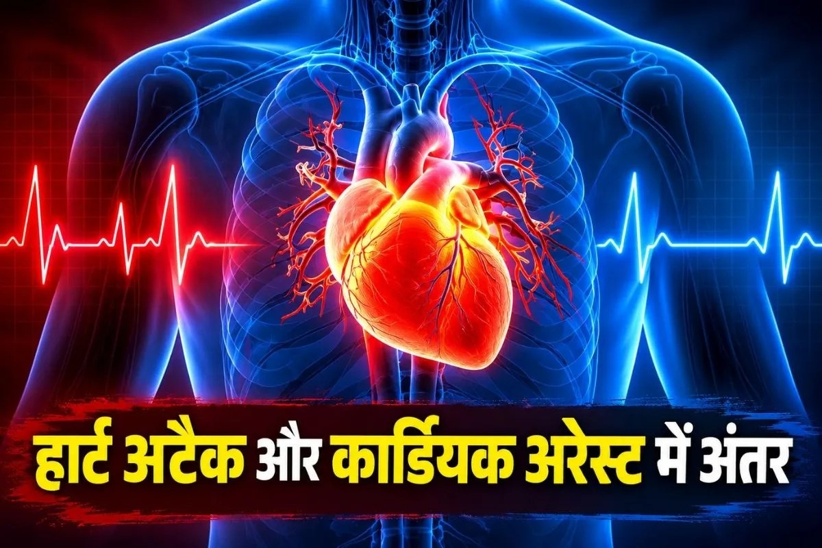 Difference between heart attack and cardiac arrest
