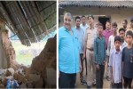 Elephants broken house in Udaypur Area