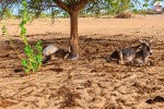 Gadra Road water crisis