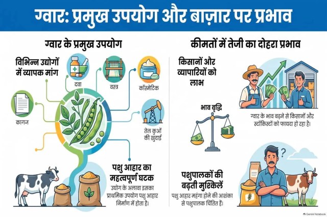Guar Mandi Price in Rajasthan