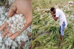Hailstorm Alert Rajasthan