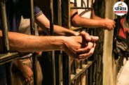 Himachal Murder Case