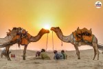 Jaisalmer Sand Dunes
