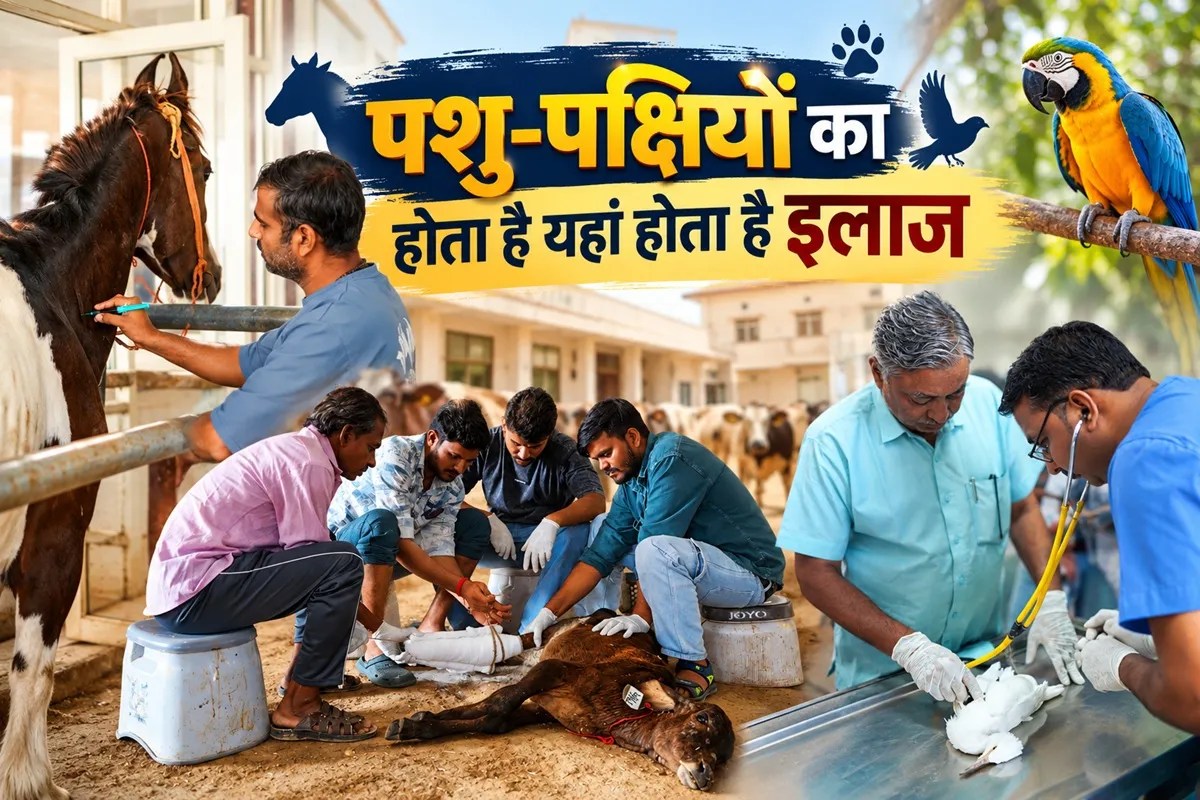 Jeevasar Hospital