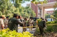 Leopard Cub Found Dead