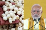 Mann Ki Baat 139th Episode