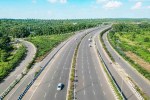 बायपास के लिए पेड़ों की क्षति, प्रतिकात्मक फोटो (Photo Source- magnific)