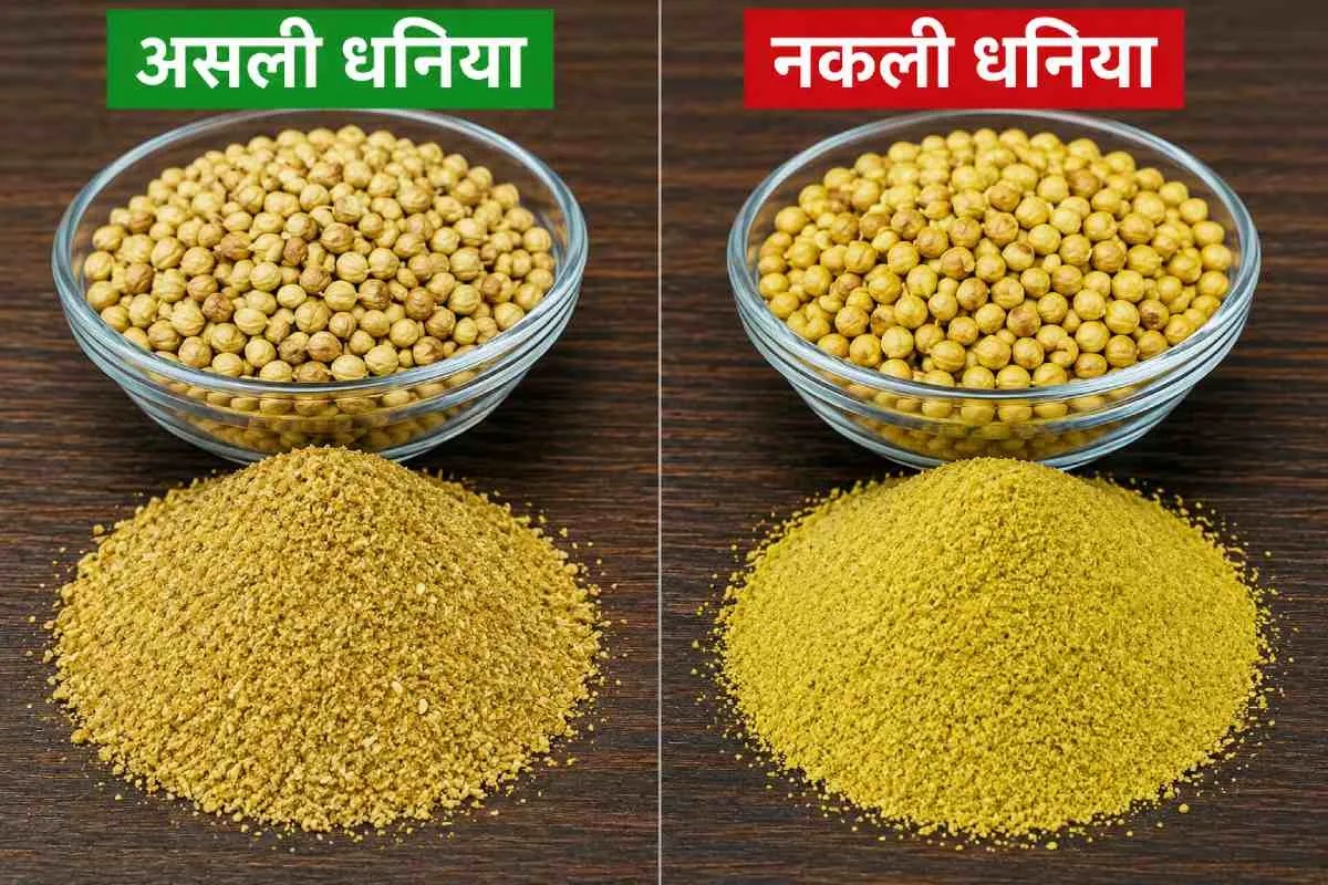 धनिया में मिलावट, प्रतिकात्मक फोटो (Photo Source: AI Image)