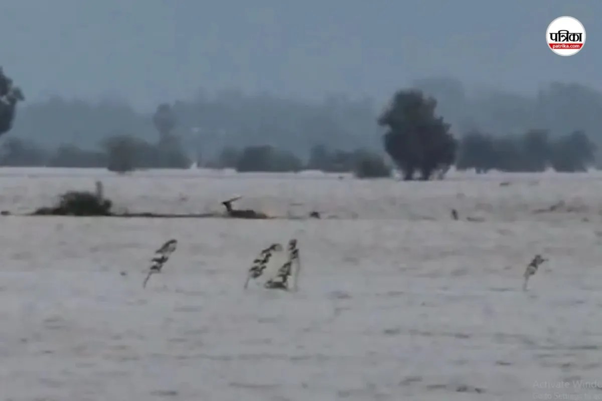 Cyclonic Arnab Impact: ओडिशा में भूस्खलन से एक ही परिवार के 3 लोगों की मौत, 9 महीने का मासूम भी शामिल