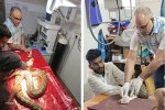 Indian Rock Python Surgery