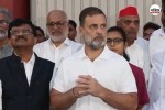Rahul Gandhi news