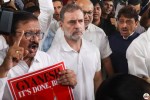 Shiv sena on Rahul Gandhi