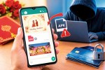 Rajasthan Cyber Crime